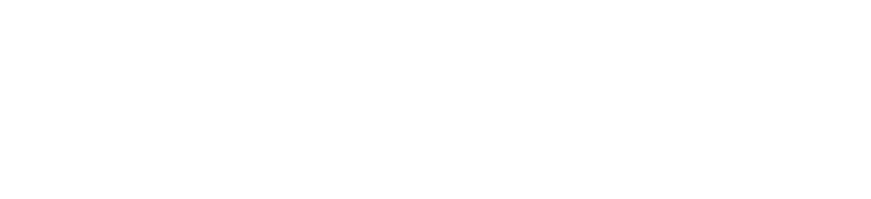 West TN Healthcare logo